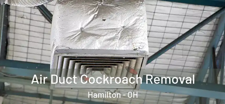  Air Duct Cockroach Removal Hamilton - OH
