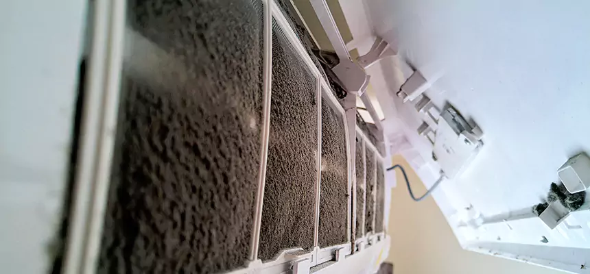 Preventive Air Duct Bacteria Removal in Hamilton