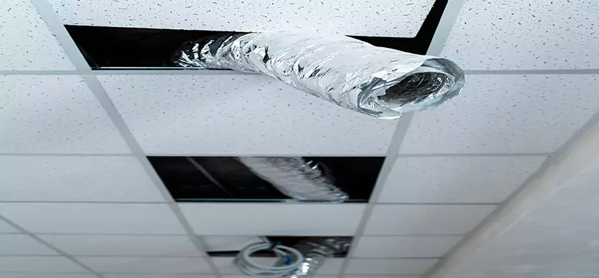 Affordable HVAC Sanitizing After Pest Removal in Hamilton