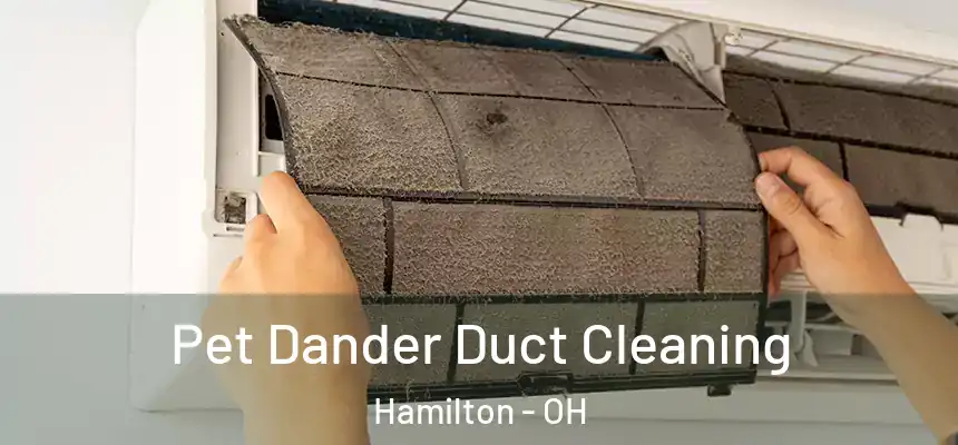  Pet Dander Duct Cleaning Hamilton - OH