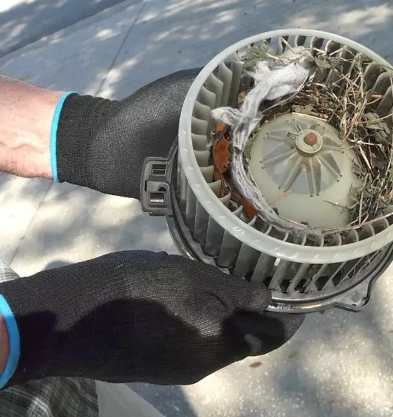 About Air Duct Rat Removal in Hamilton, OH