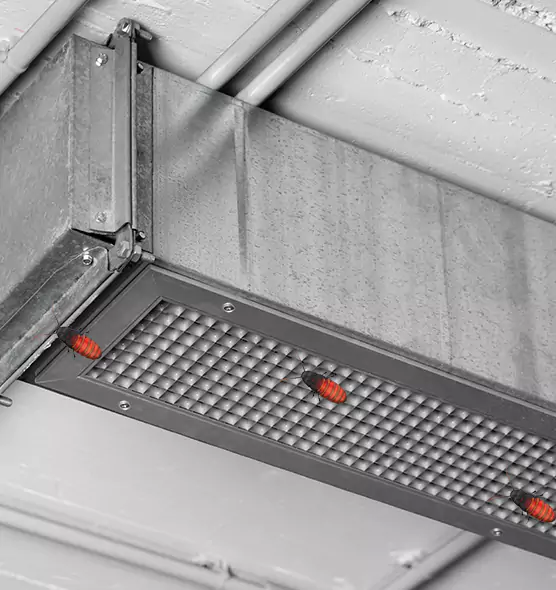 Affordable Insect Removal from Air Ducts in Hamilton, OH