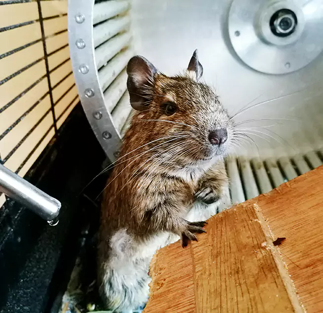 Why Homeowners & Businesses Trust Us Hamilton, OH?